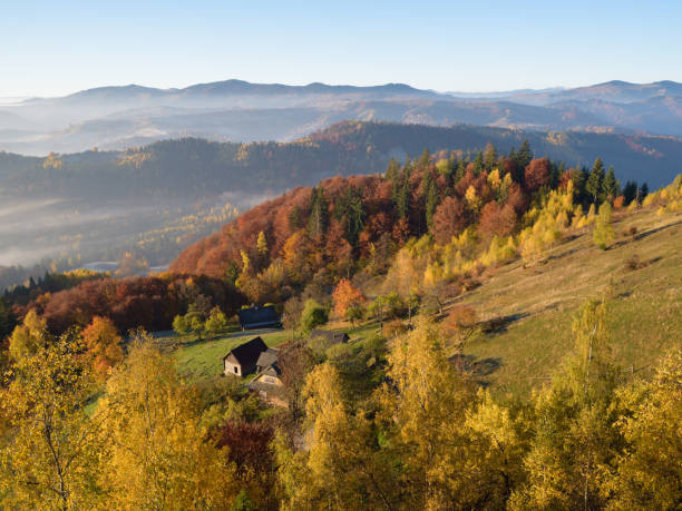 istock Autumn landscape with a beautiful forest on the slopes 1014697910