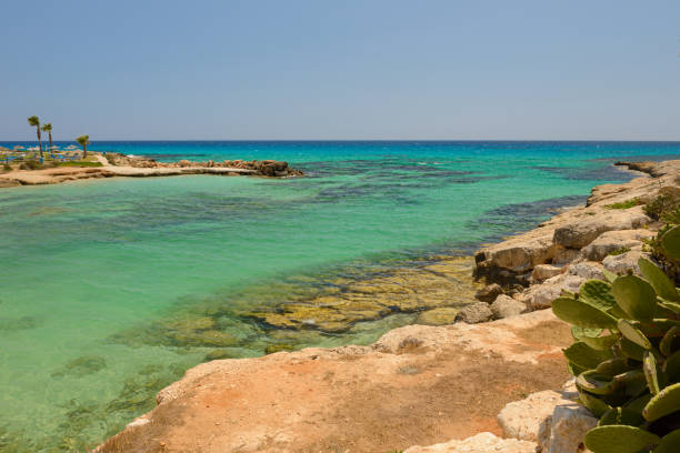 istock beach in a sea bay with a rocky beach 1014698060