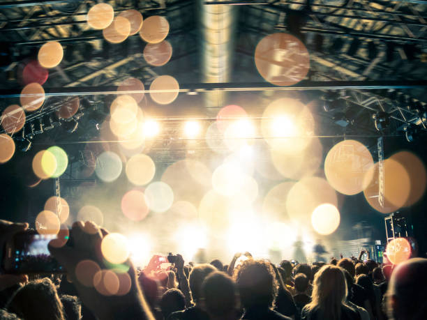 istock Gig crowd point of view 1014703586