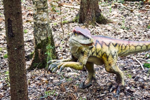 Triceratops Fotos Bilder und Stockfotos iStock