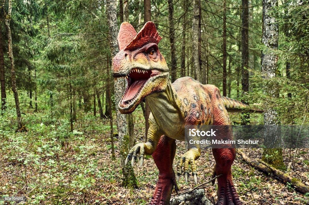 dinosaur dilophosaurus SONY DSC Dilophosaurus Stock Photo