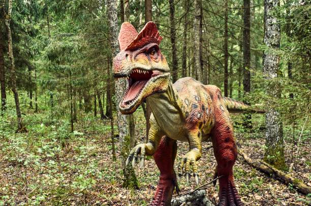 dinosaur dilophosaurus SONY DSC jurassic photos stock pictures, royalty-free photos & images