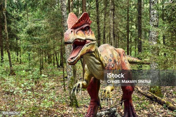 Dinosaur Dilophosaurus Stock Photo - Download Image Now - Dilophosaurus, Dinosaur, Forest