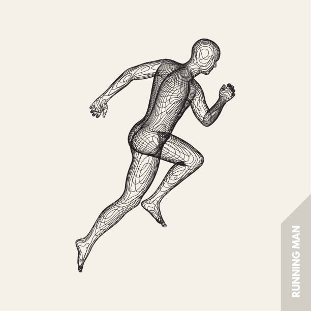 istock 3d running man. Design for sport, business, science and technology. Vector illustration. Human body. 1014704642