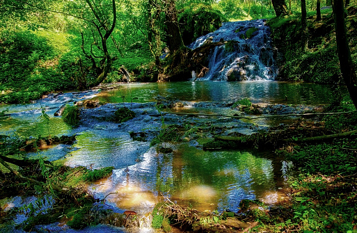 waterfall in nature