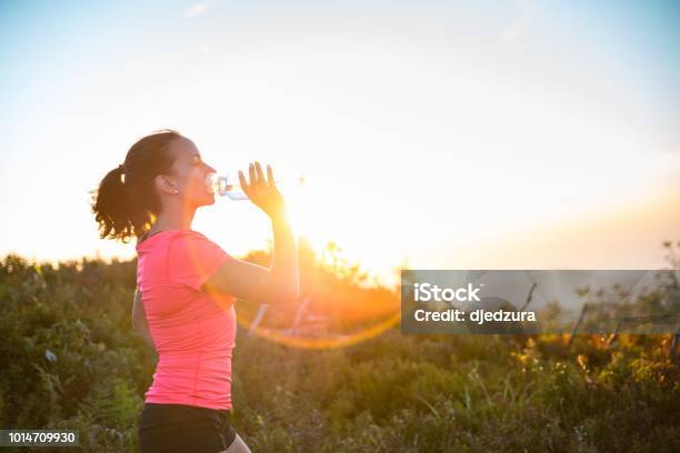 Frau Trinkwasser Aus Wasser Flasche Stockfoto und mehr Bilder von Athlet - Athlet, Ausdauer, Berg