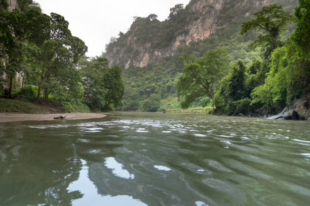 piękna naturalna sceneria jaskini phong z wycieczką statkiem w ba be lake nation park jest znanym miejscem podróży w prowincji bac kan w wietnamie. - ba kan zdjęcia i obrazy z banku zdjęć