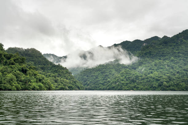 ver el hermoso paisaje de bosque tropical en ba ser el lago en la provincia de bac kan, vietnam - ba kan fotografías e imágenes de stock