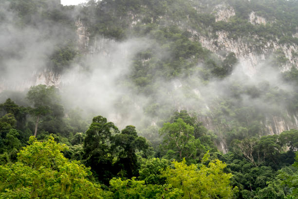 ver el hermoso paisaje de bosque tropical en ba ser el lago en la provincia de bac kan, vietnam - ba kan fotografías e imágenes de stock