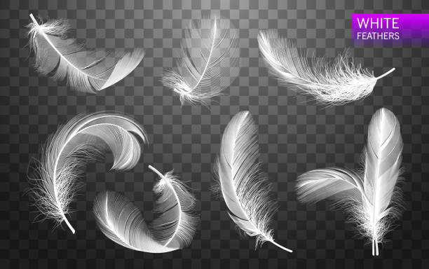 istock Set of isolated falling white fluffy twirled feathers on transparent background in realistic style. Vector Illustration 1014721662