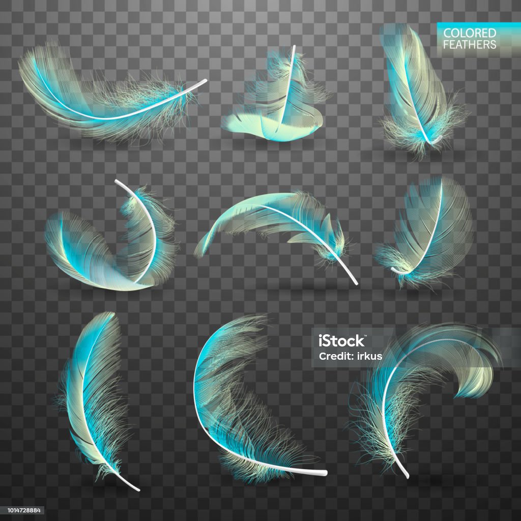 Set of isolated falling colored fluffy twirled feathers on transparent background in realistic style. Light cute feathers design. Elements for design. Vector Illustration Set of isolated falling colored fluffy twirled feathers on transparent background in realistic style. Light cute feathers design. Elements for design vector illustration Abstract stock vector