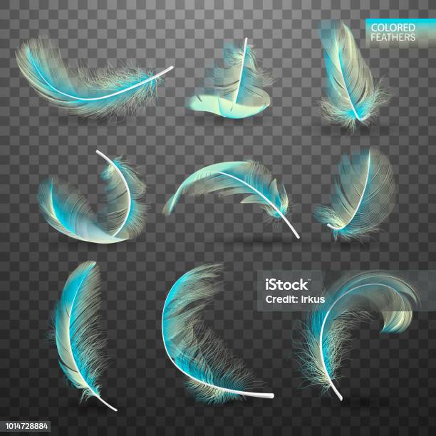 Set Of Isolated Falling Colored Fluffy Twirled Feathers On Transparent Background In Realistic Style Light Cute Feathers Design Elements For Design Vector Illustration Stock Illustration - Download Image Now