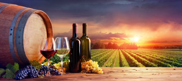 Bottles And Wineglasses With Grapes And Barrel In Rural Scene Bottles And Glasses With Ripe Grapes And Wooden Barrel At Sunset winery stock pictures, royalty-free photos & images
