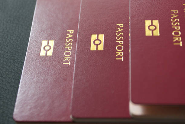 istock passport for vacation. Passport control 1014729768