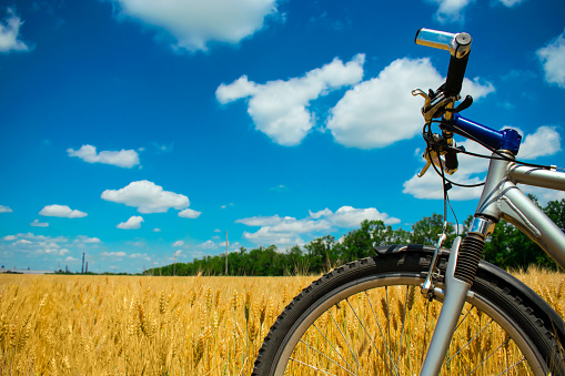 Mountain bike on yellow wheat field under blue sky with clouds. Bicycle handlebars and wheel close-up. Freedom and travel concept. Copy space