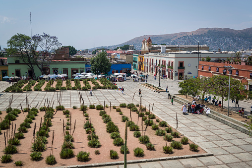 View of the city and the square in front of Church of Santo Domingo de Guzman, Oaxaca, Mexico