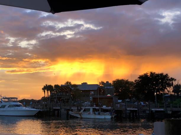 istock sunset on the swamps 1014734530