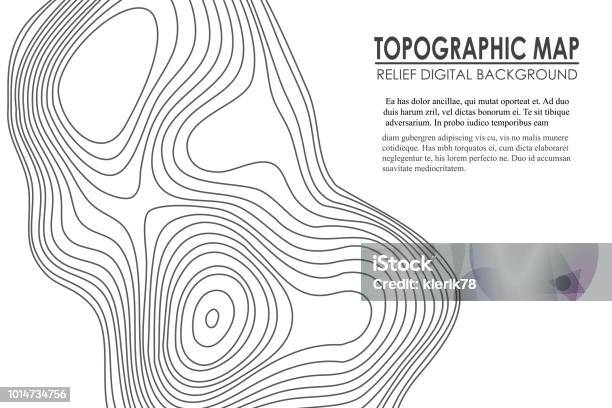 Topographic Map Contour Background Line Map With Elevation Geographic World Topography Map Grid Abstract Vector Illustration Stock Illustration - Download Image Now
