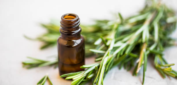 istock Herbal green rosemary herb essential oil bottle, selective focus 1014738346
