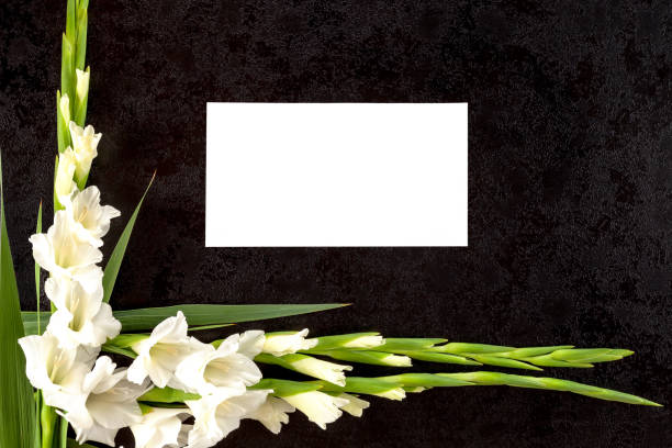 istock Gladioly flowers with blank paper for obituary notice. 1014746148