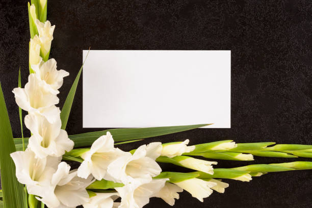 istock Obituary or death notice concept. 1014746156