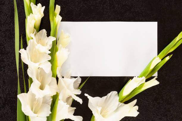 istock Obituary or death notice concept. 1014746158