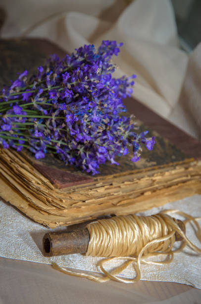 istock Vintage composition with lavender, perfume bottle and old book 1014770366
