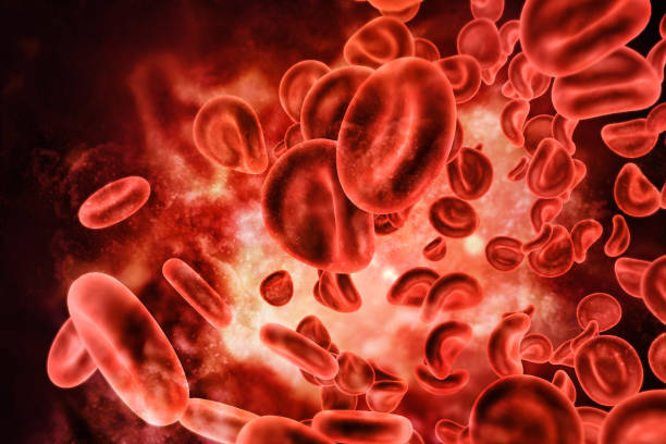 Blood cells stock photo