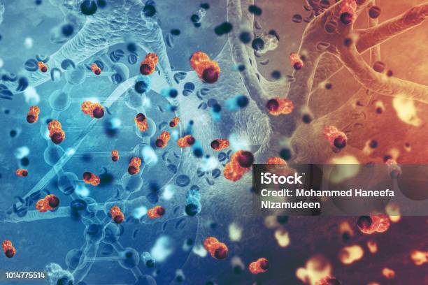 Cancer Cells Stock Photo - Download Image Now - Cancer Cell, Cancer - Illness, Medicine