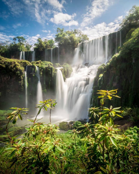 cataratas del iguazú - exotic location fotografías e imágenes de stock