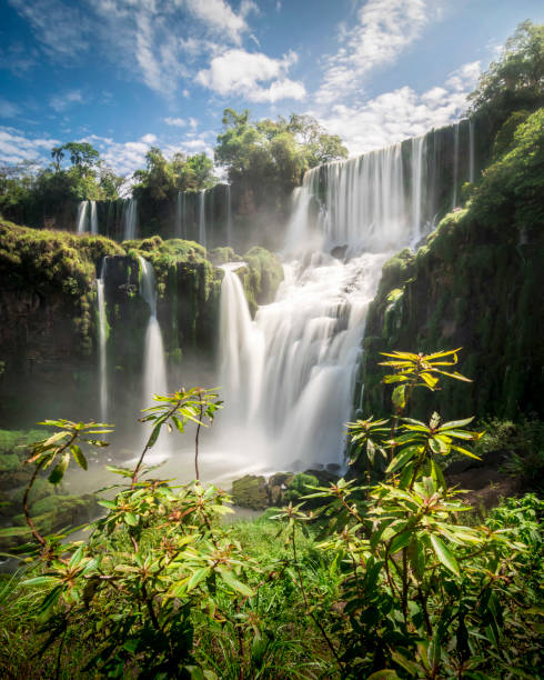 водопад игуазе - tropical rainforest tropical climate waterfall landscape стоковые фото и изображения