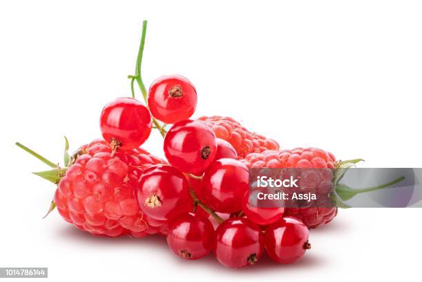 Collection Of Fresh Berries Raspberry Red Currant Gooseberry Isolated On White Background Stock Photo - Download Image Now