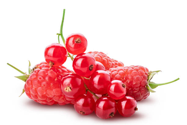 collection of fresh berries. raspberry, red currant, gooseberry. isolated on white background. - berry fruit currant variation gooseberry imagens e fotografias de stock