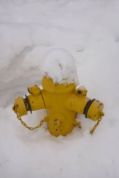 Photo of yellow fire hydrant in snow