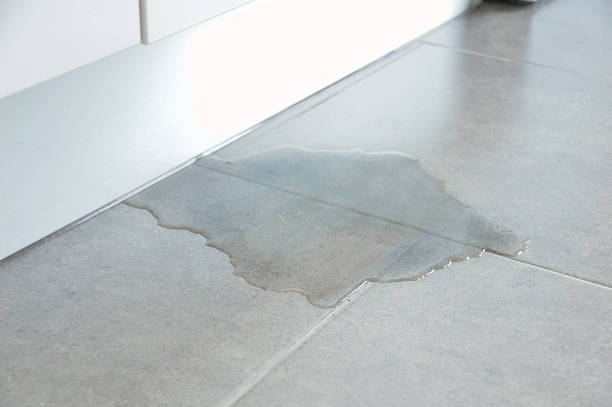 flood in my building Close-up Photo Of Flooded Floor In Kitchen From Water Leak humidity photos stock pictures, royalty-free photos & images