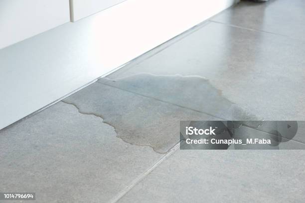 Flood In My Building Stock Photo - Download Image Now - Water, Leaking, Flooring