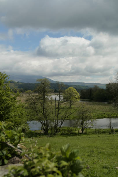 istock View of clouds, green fields and trees in Scotland 1014802344