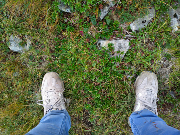 istock Feet on the grass. Feet on the ground. 1014805550