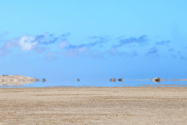 mirage dans le désert de namib, en namibie du namib - brume de chaleur photos et images de collection