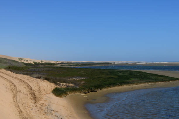 istock Sandwich Harbour in the Namib Naukluft Desert, Namibia 1014806554