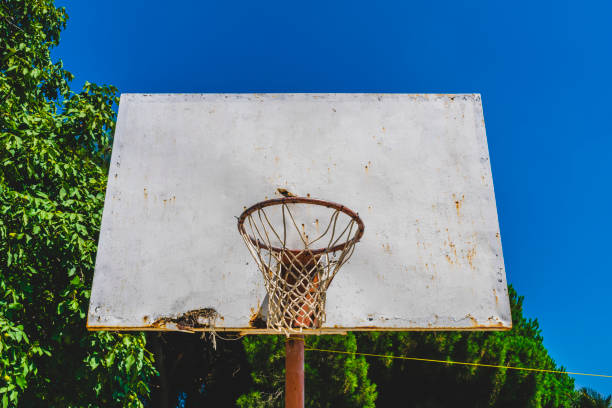 istock Basketball hoop against the warm summer sky 1014806668