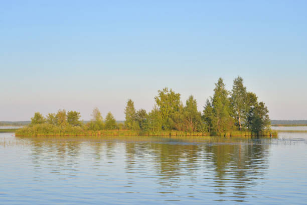 istock Small island in lake at sunset. 1014807486