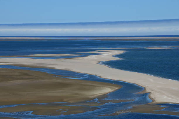 A spit of sand meanders through the middle of the photo, and islands of coastal vegetation are seen in the foreground. In the distance a coastal fog can be seen.The photo was taken at Sandwich Harbour in the permit only part of the Namib Naukluft Park, Namibia. The area can only be accessed by 4-wheel drive vehicles. The photo was taken in February 2018.