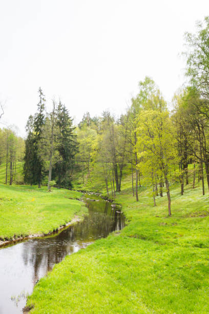 istock Spring nature in the Park with brook 1014822598