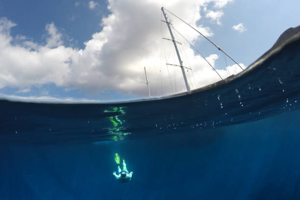 istock Snorkeling in the sea 1014823448