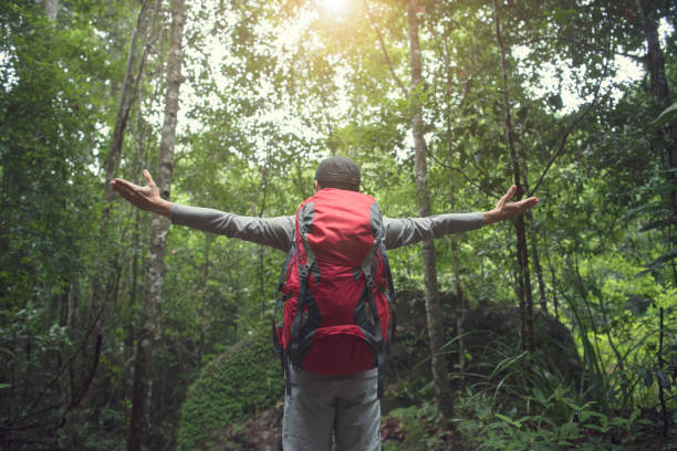 istock Freedom traveler man standing with backpack and enjoying a beautiful nature forest. 1014824224