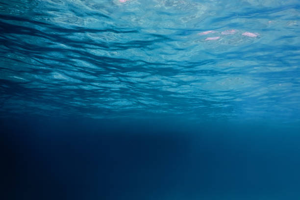 istock Underwater view of the sea surface 1014827334