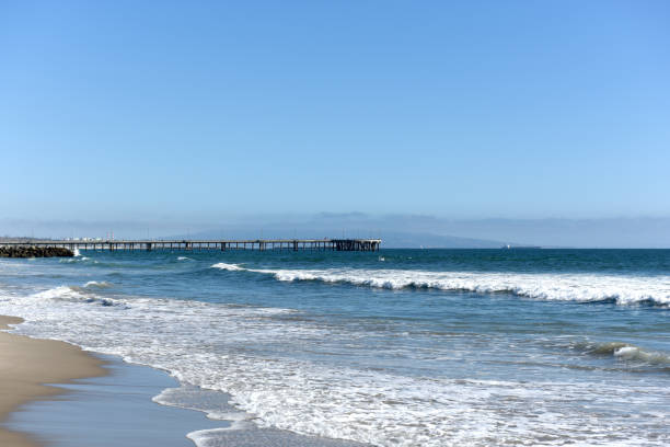 istock Venice beach in Los Angeles, CA, USA 1014834486