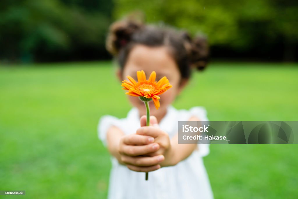 Menina com flor - Foto de stock de Criança royalty-free