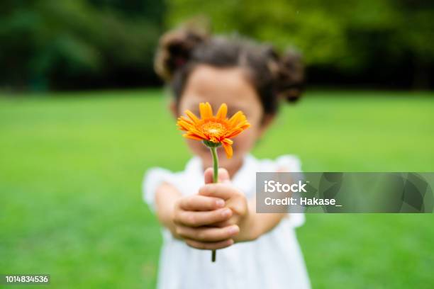 Foto de Menina Com Flor e mais fotos de stock de Criança - Criança, Gratidão, Thank You